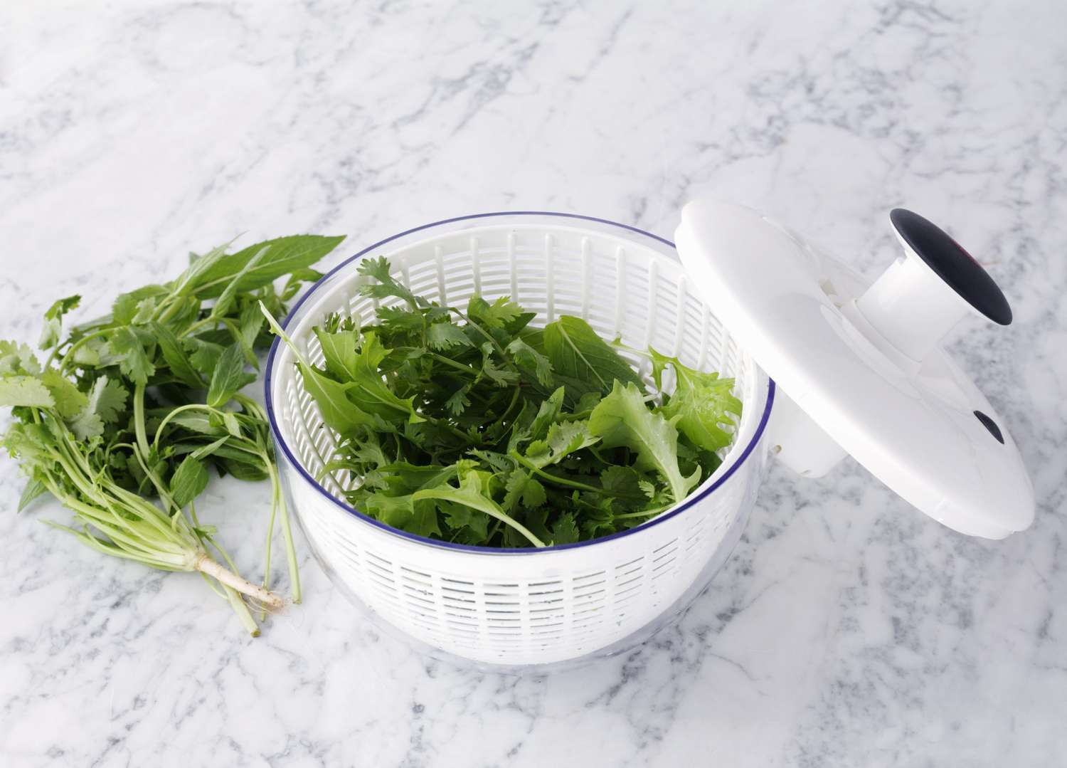 Safe food handling during proper cleaning of salad spinners