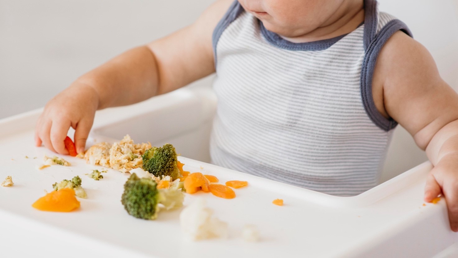 Safe food handling for infants and toddlers